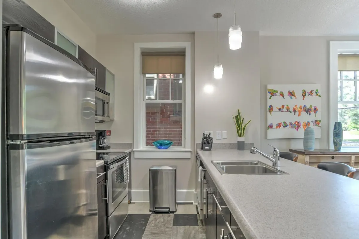 The focus here is on the gleaming stainless steel appliances, a spacious modern countertop, vibrant bird artwork, and an expansive window providing abundant natural light. The atmosphere is contemporary and welcoming, emphasizing both food preparation and dining experiences.
